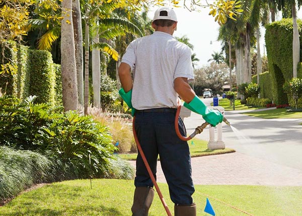 About Bliss ID Pest Control